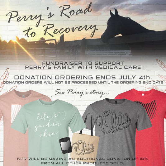 Perry's Story - Fundraiser Drive